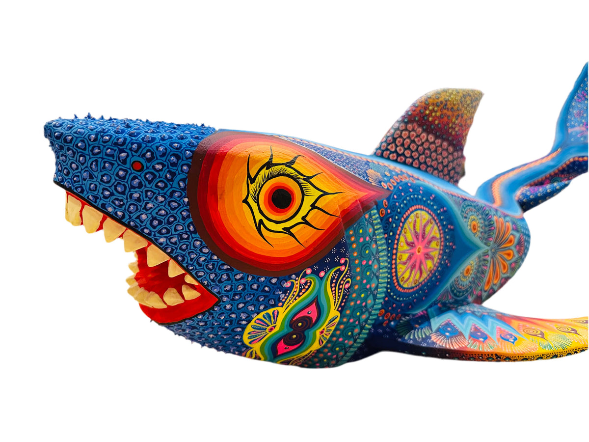 colorful-giant-ocean-shark-