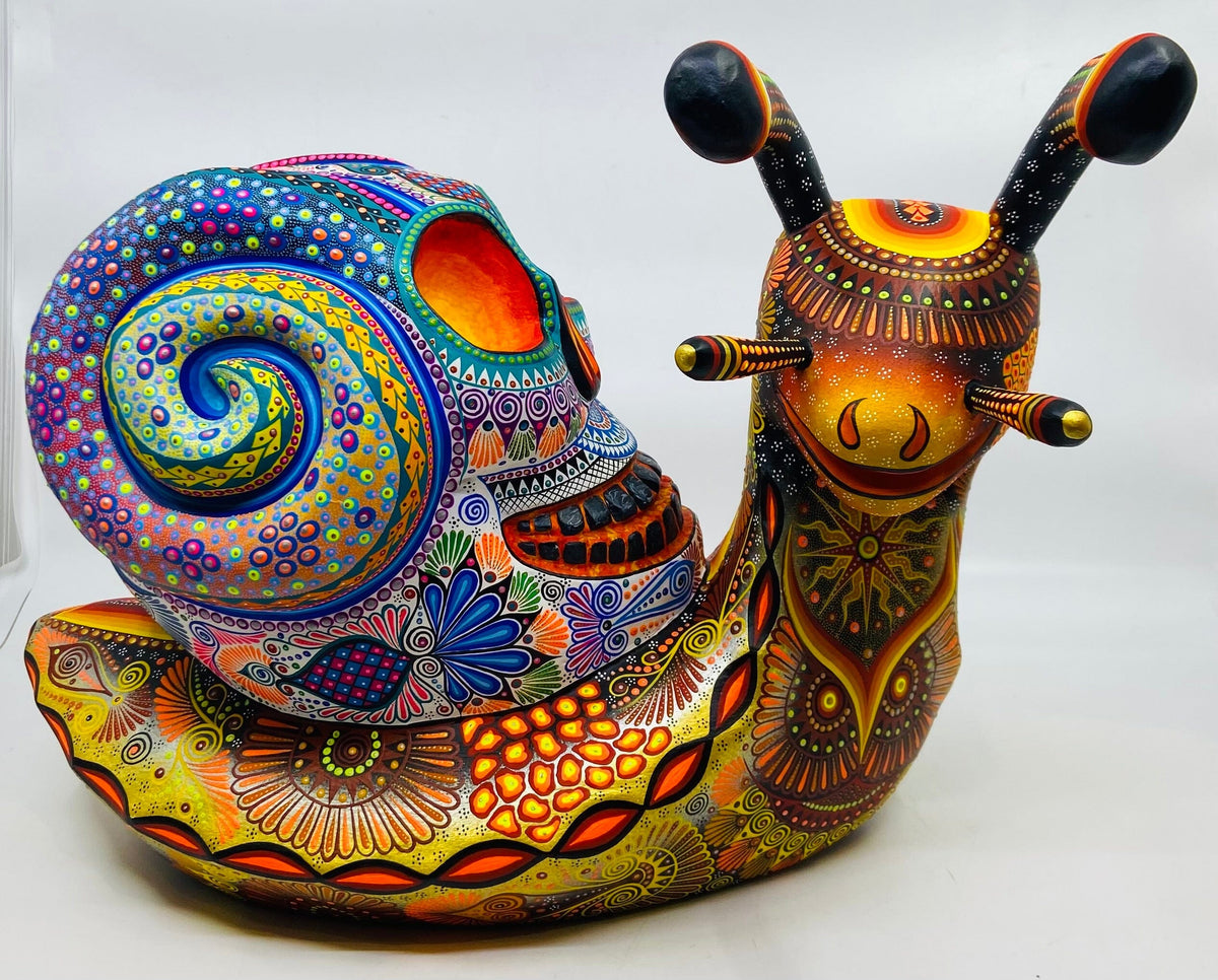 colorful-snail-skull-fusion-