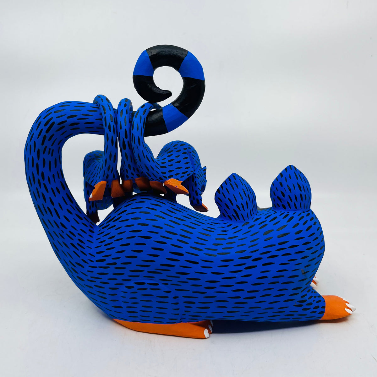 opossum-with-3-babies-milagros