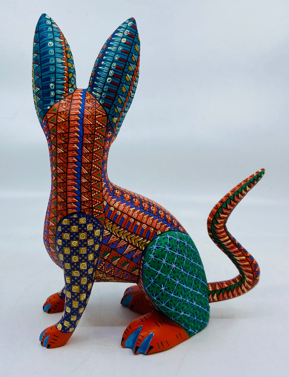 orange-chihuahua-milagros-