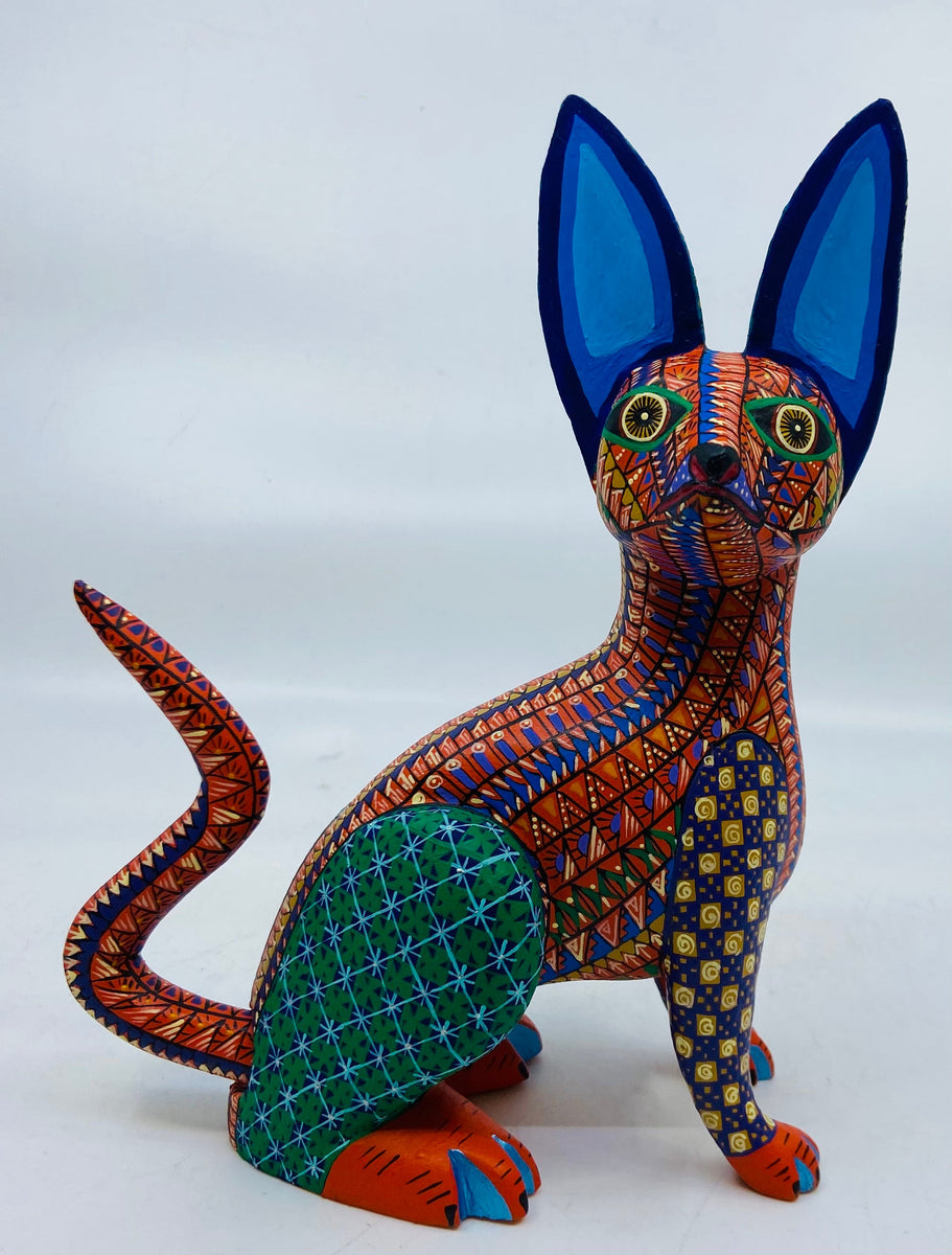 orange-chihuahua-milagros-