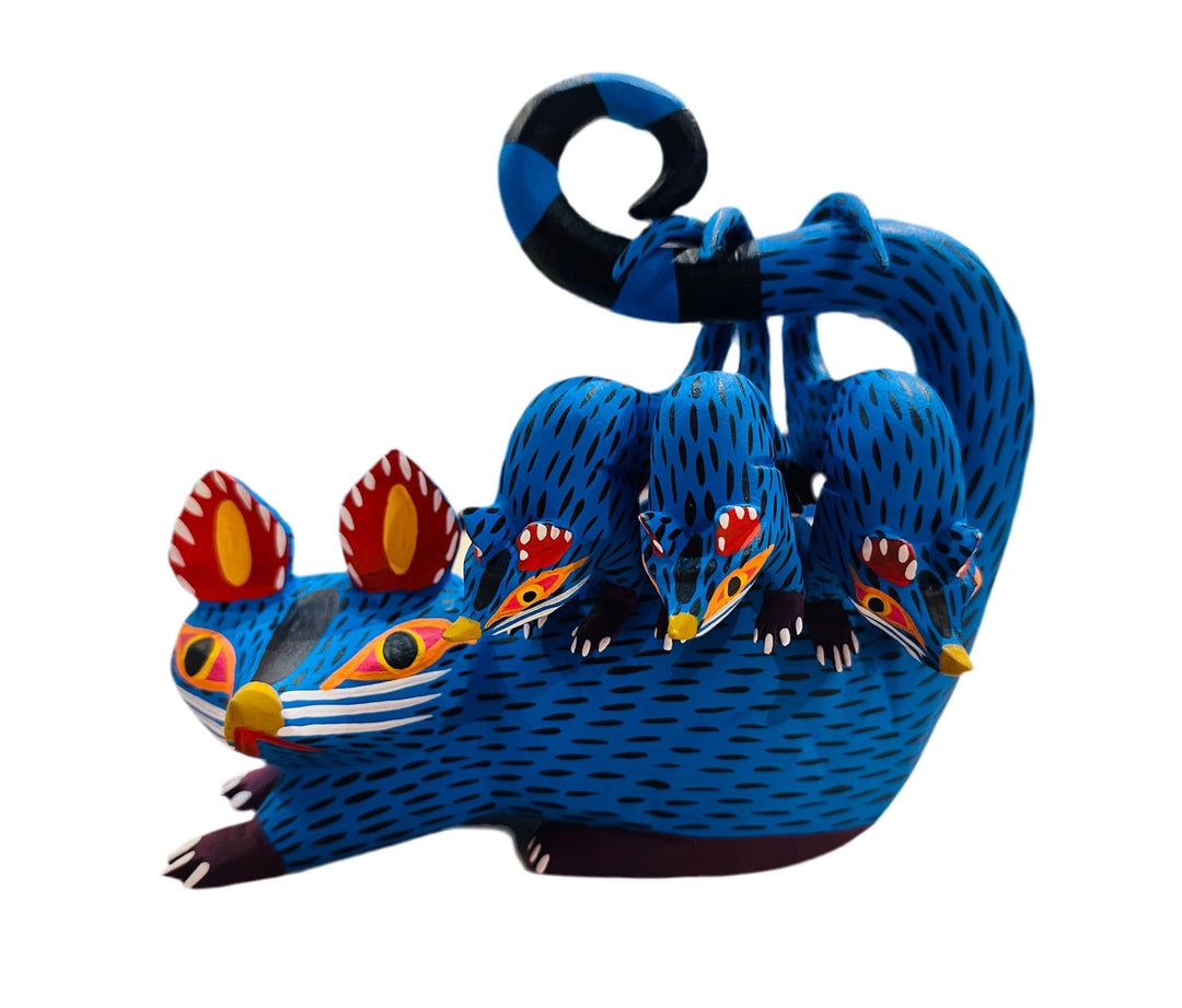 blue-opossum-with-3-babies-