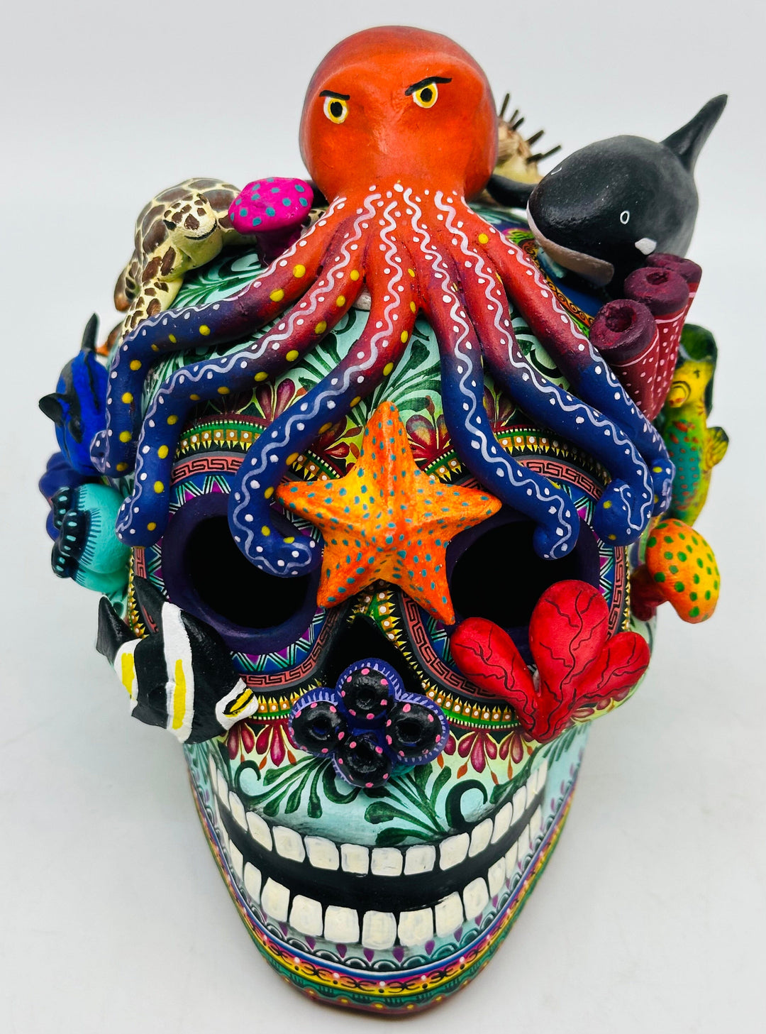 castillo-sea-life-skull-