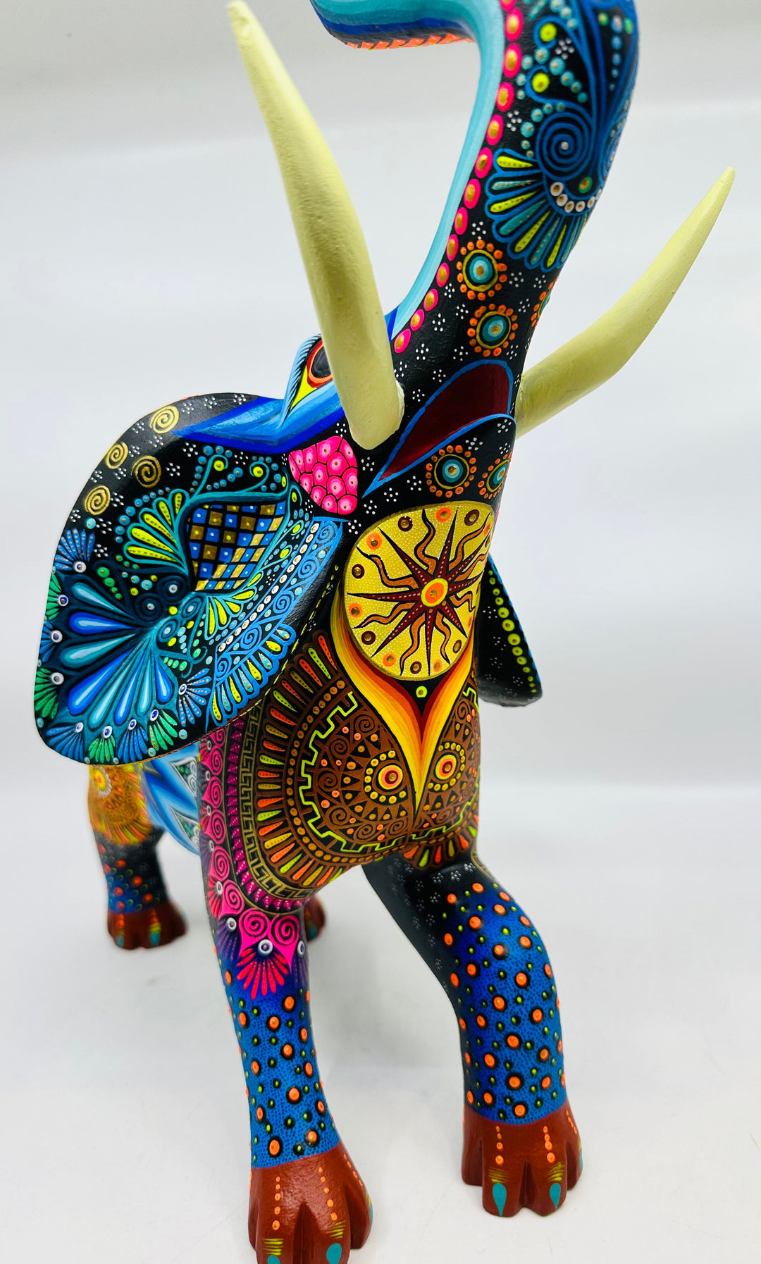 colorful-baby-elephant-