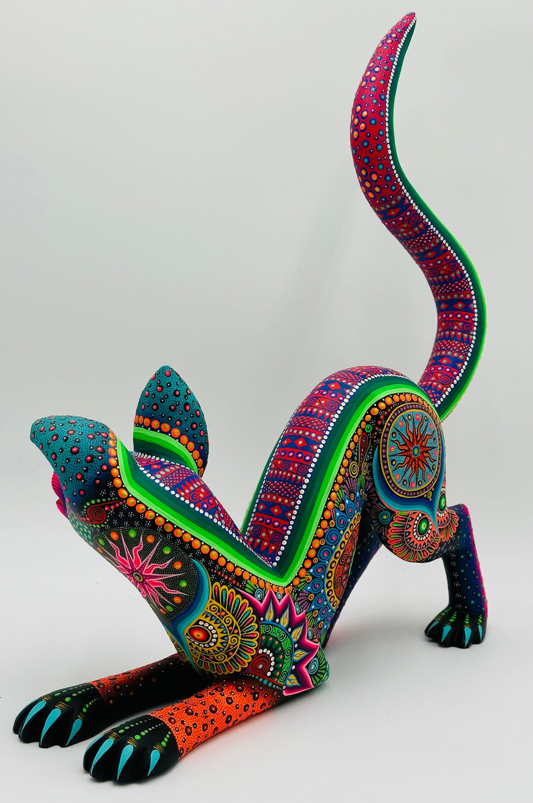 colorful-crawling-xolo-dante-