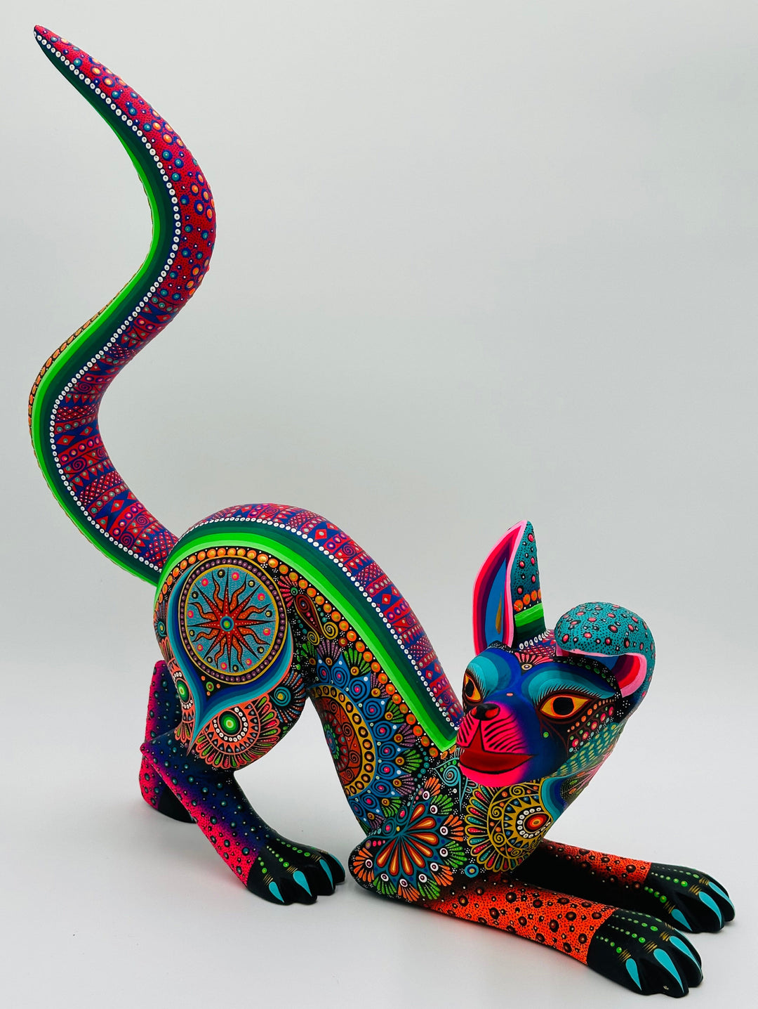 colorful-crawling-xolo-dante-