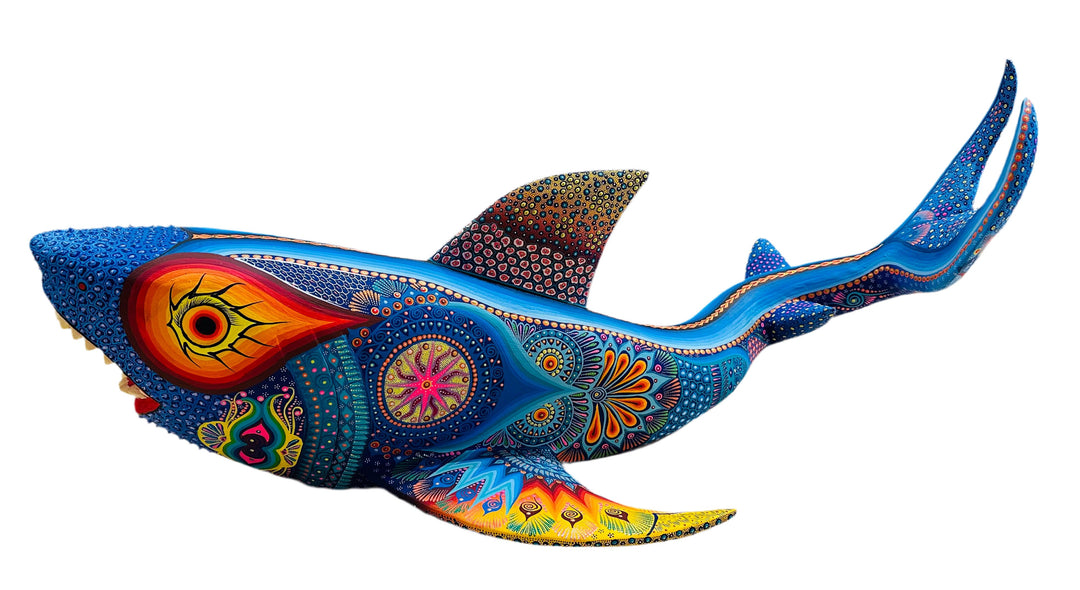 colorful-giant-ocean-shark-