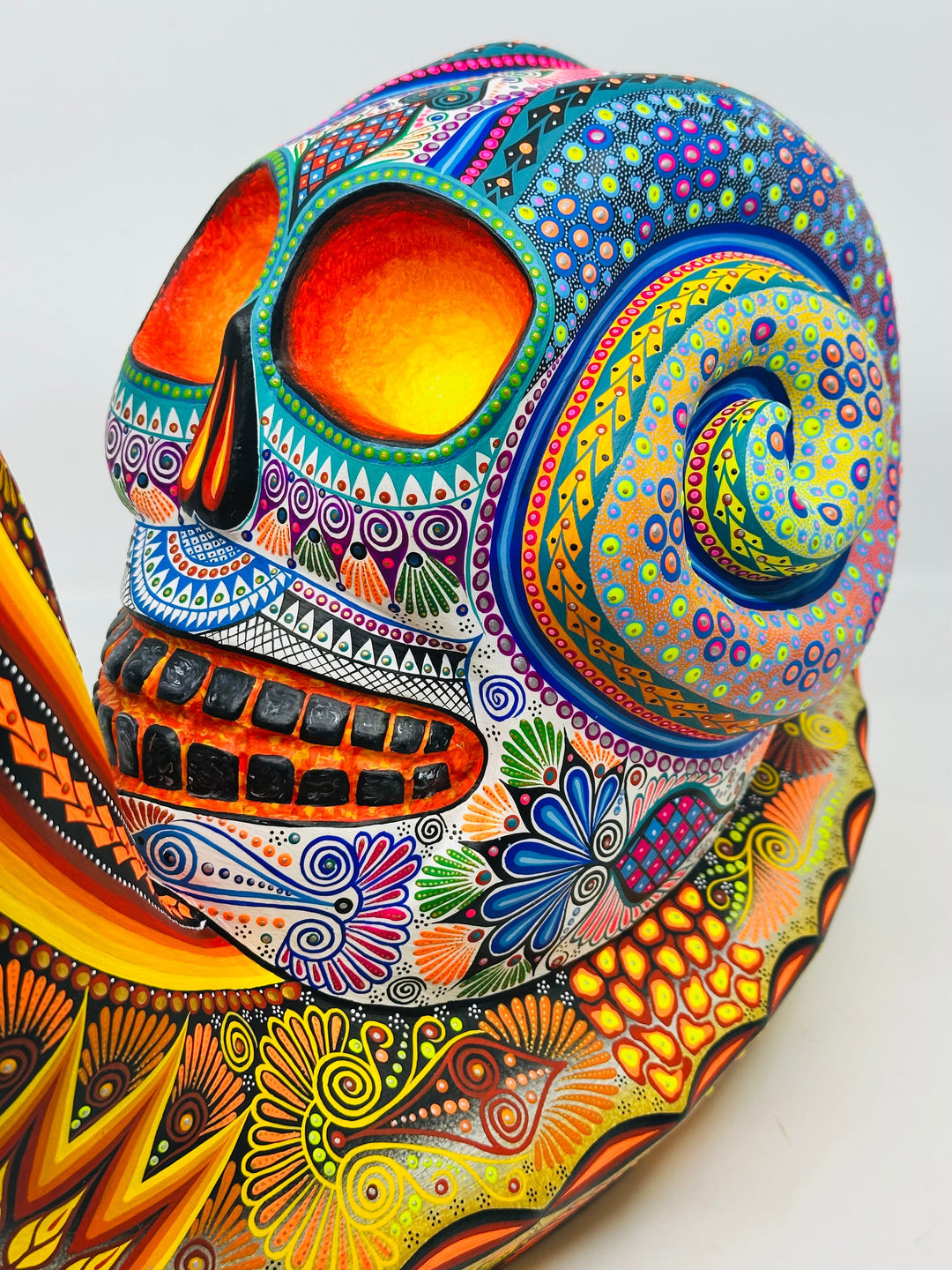 colorful-snail-skull-fusion-