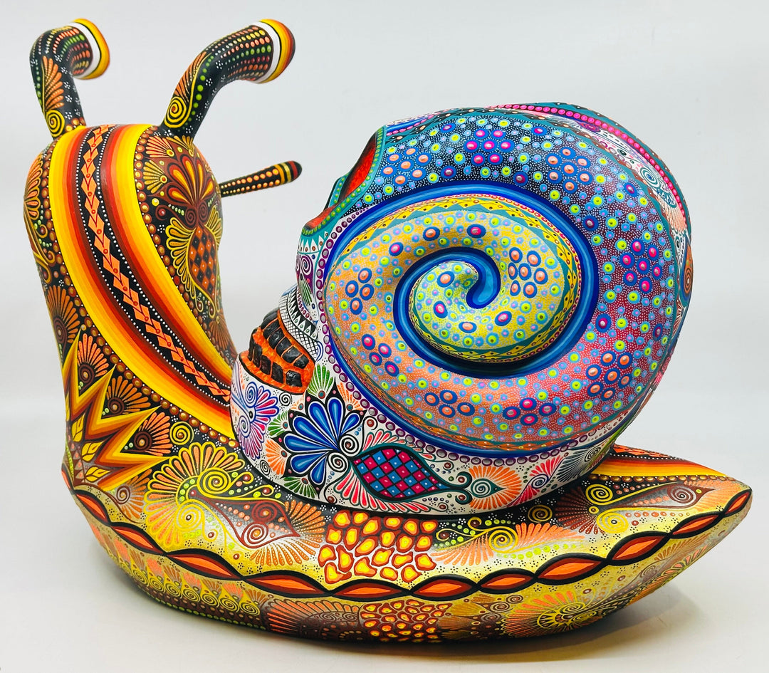 colorful-snail-skull-fusion-