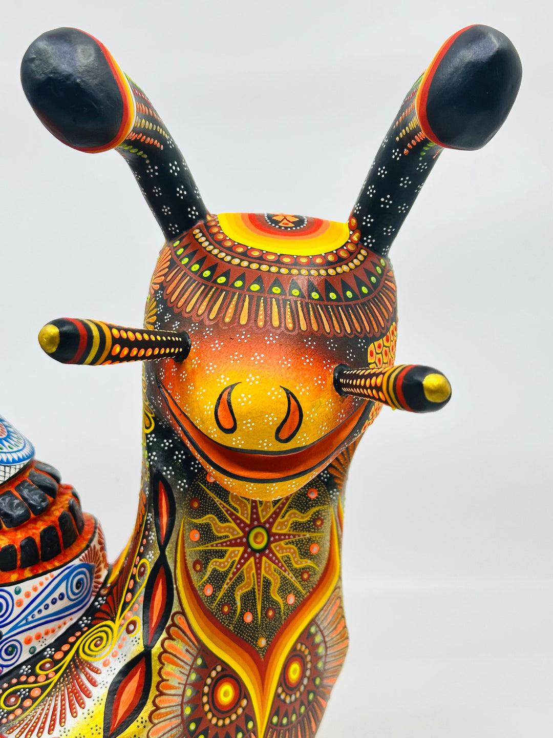 colorful-snail-skull-fusion-