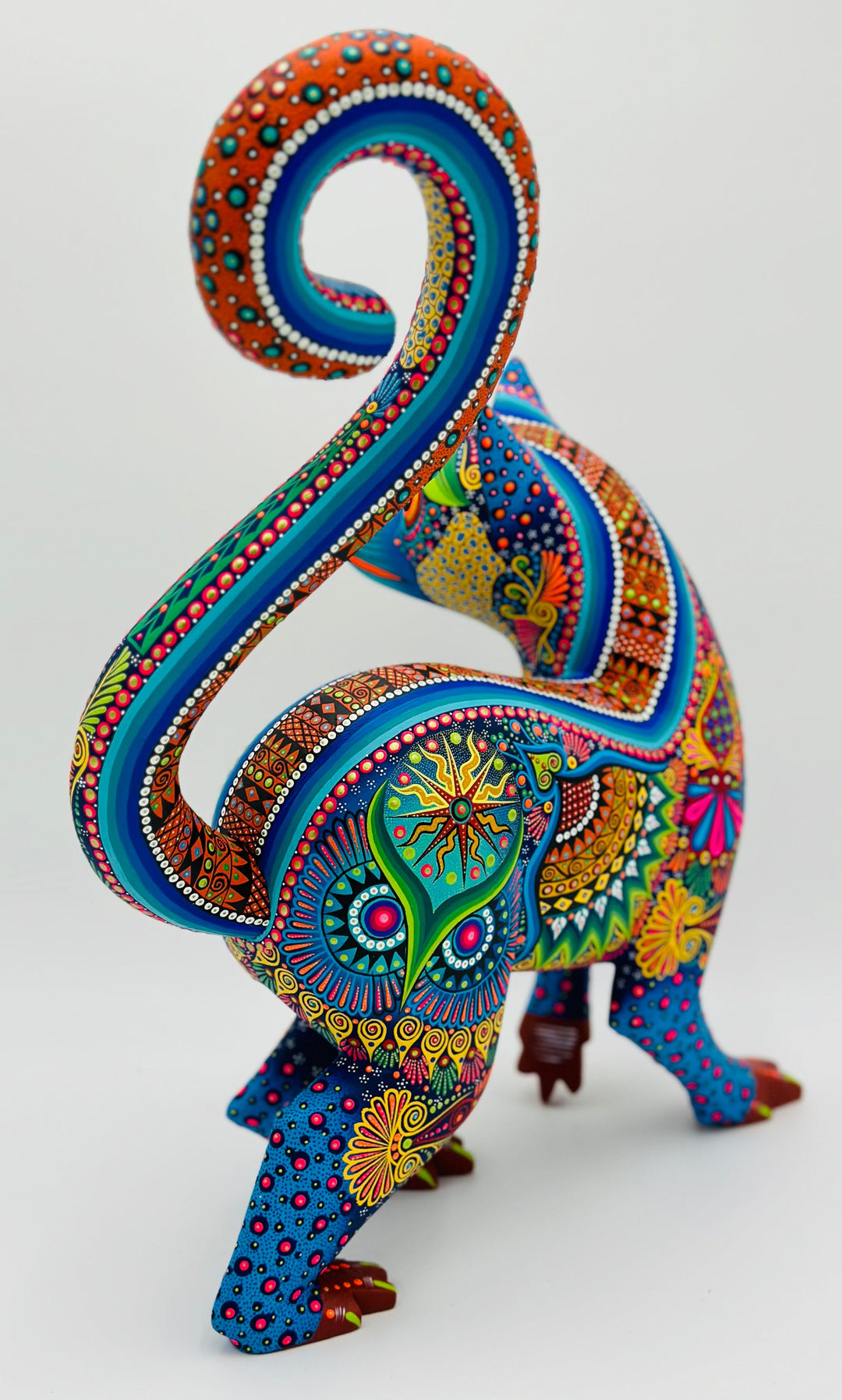 curious-colorful-lemur-