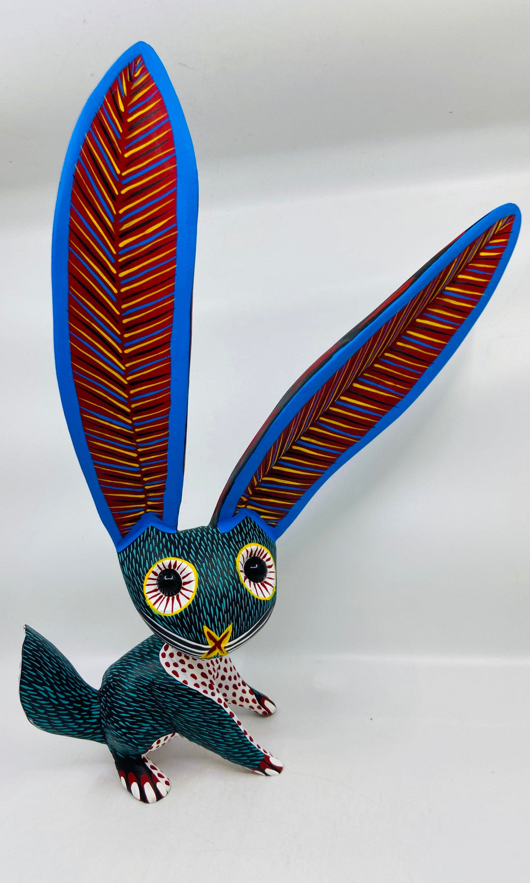 cute-jack-rabbit-milagros-
