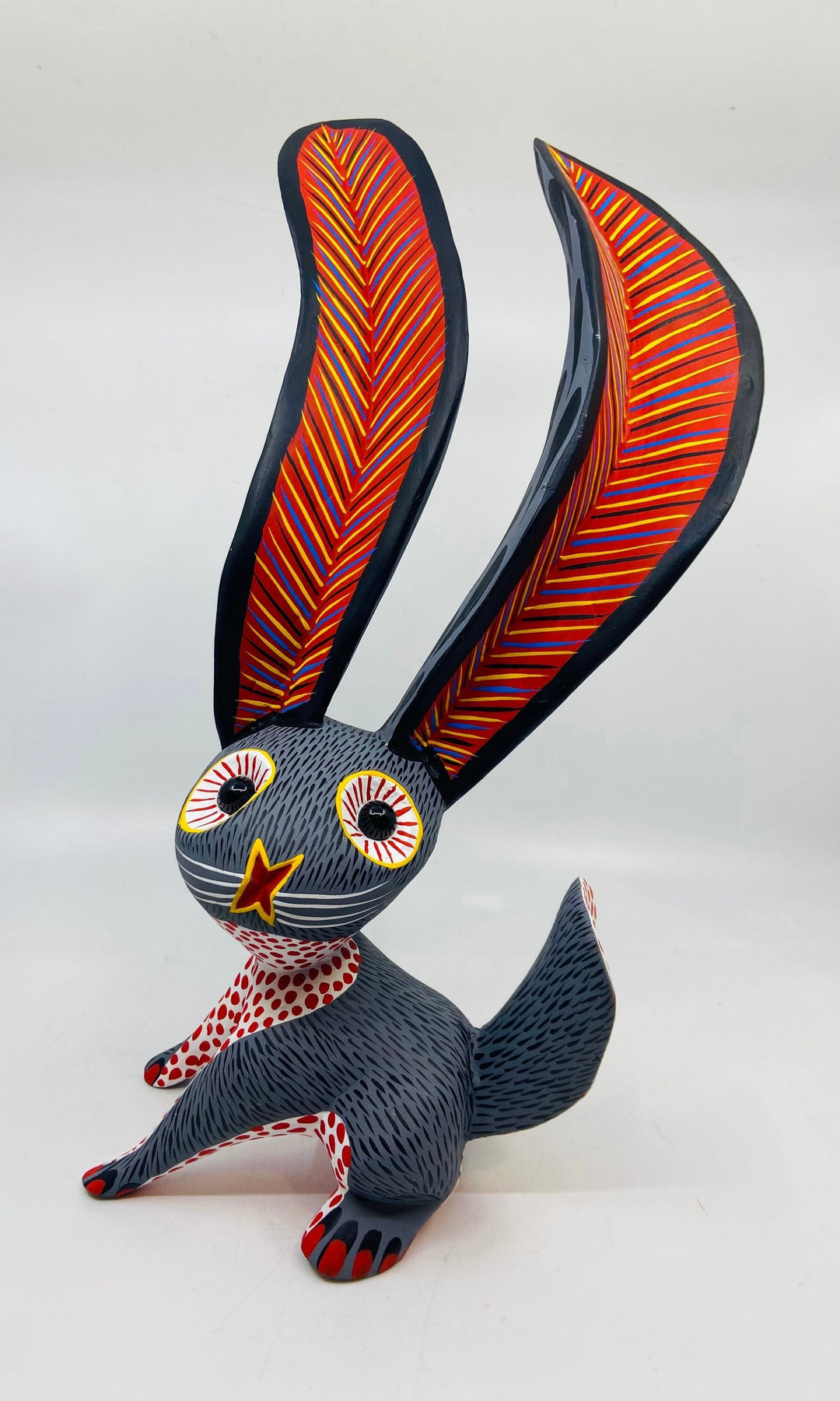 cute-jack-rabbit-milagros-