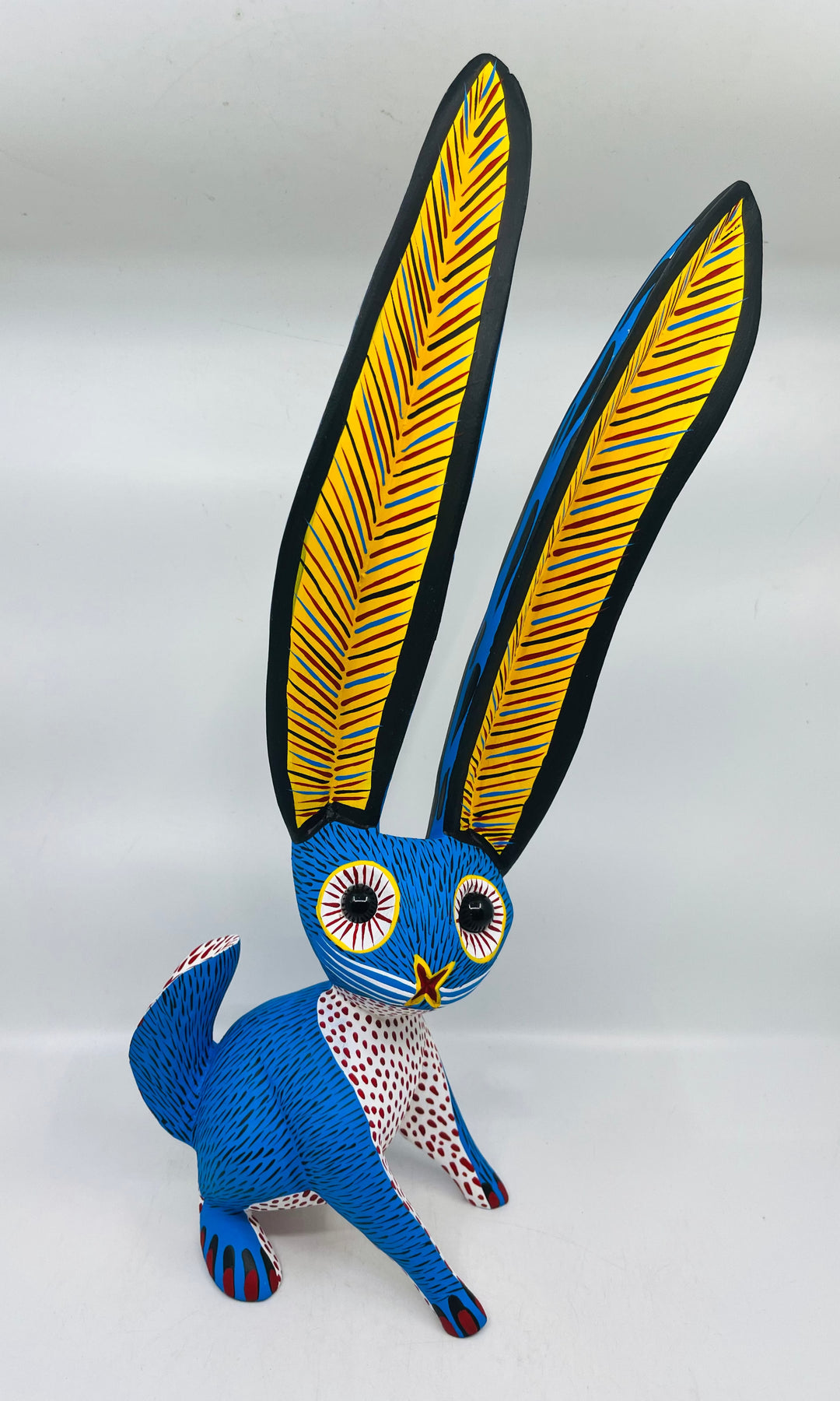 cute-jack-rabbit-milagros-