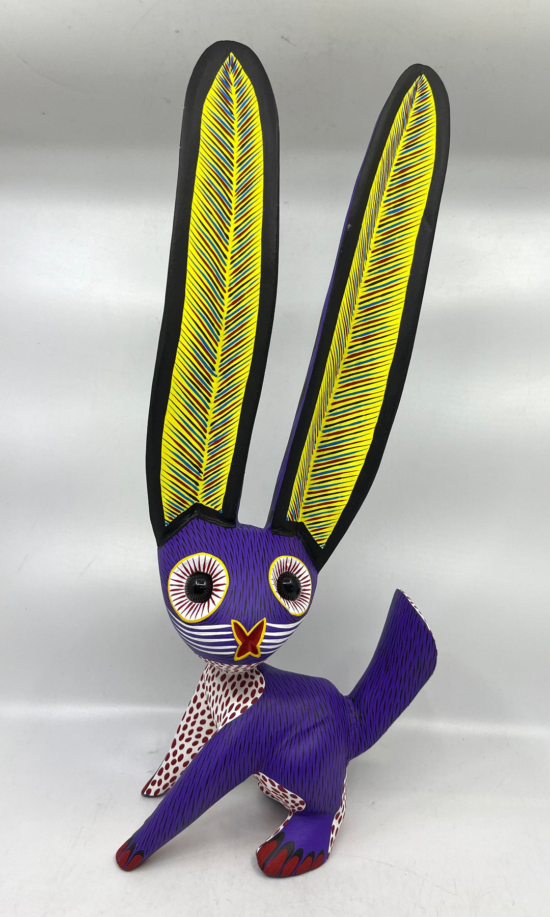 cute-jack-rabbit-milagros- cute-jack-rabbit-milagros-