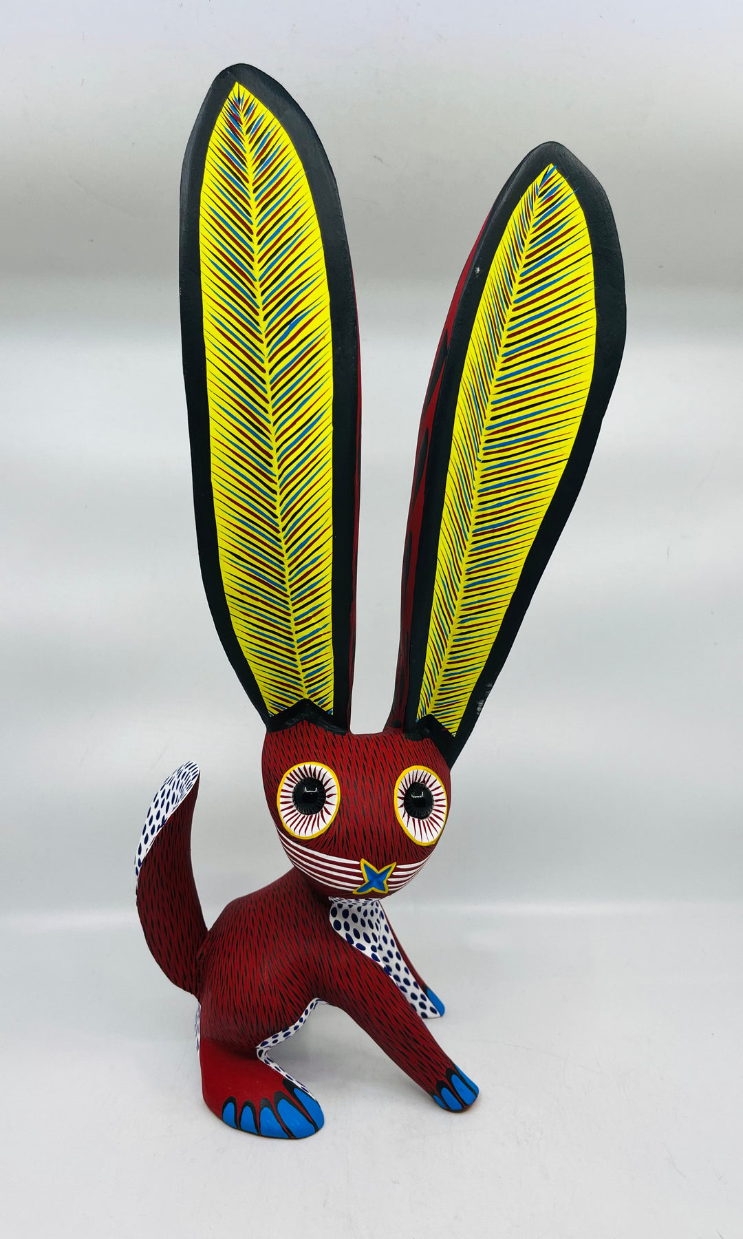 cute-jack-rabbit-milagros-