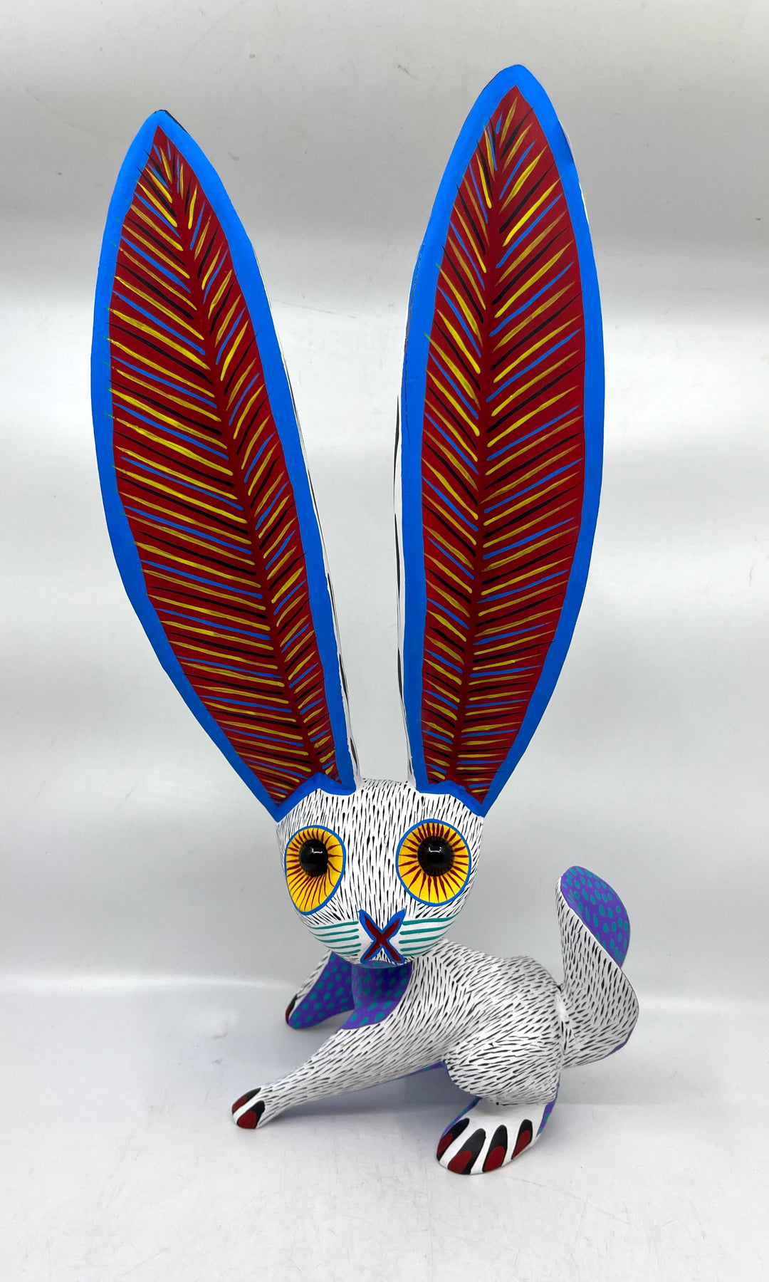 cute-jack-rabbit-milagros-