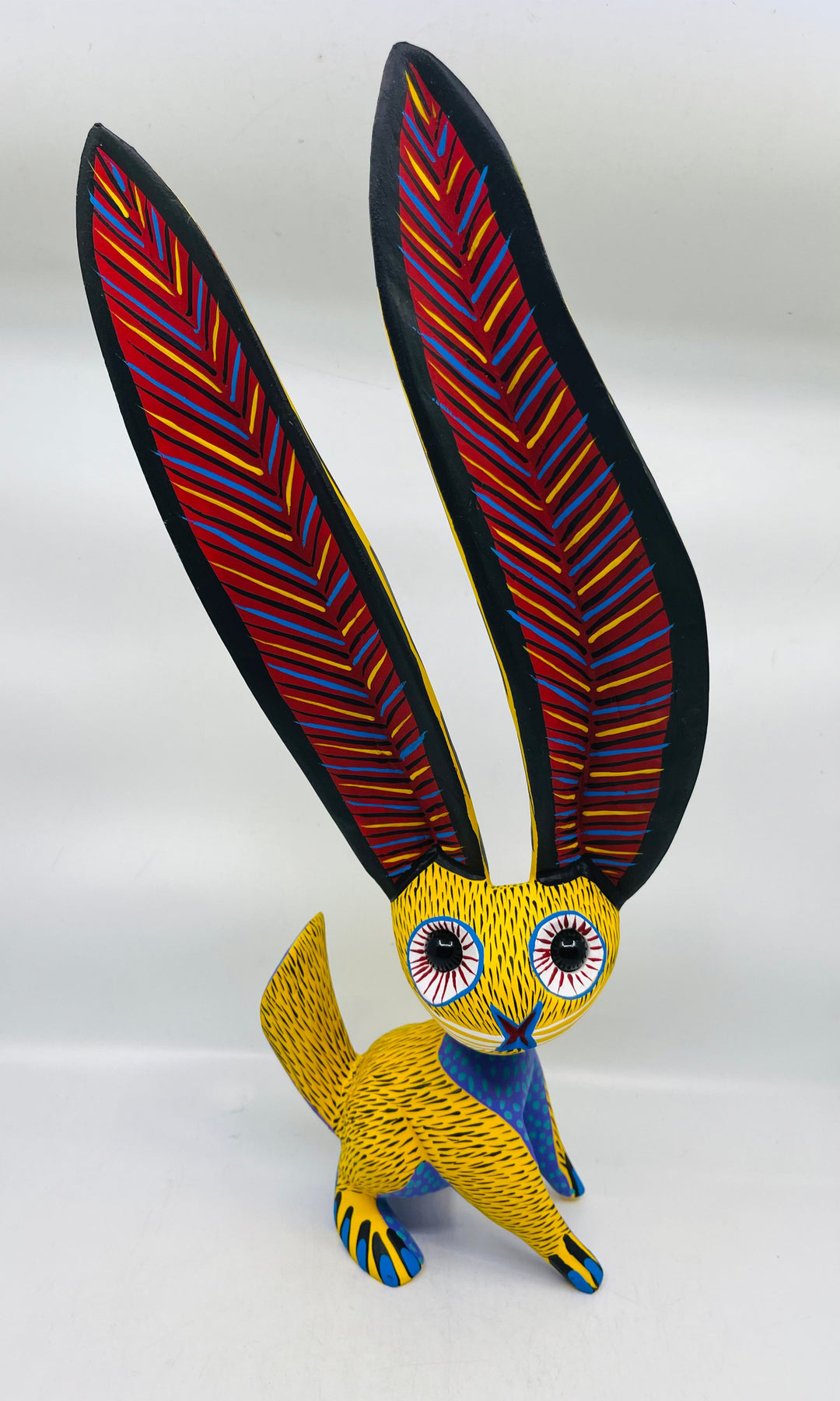 cute-jack-rabbit-milagros-