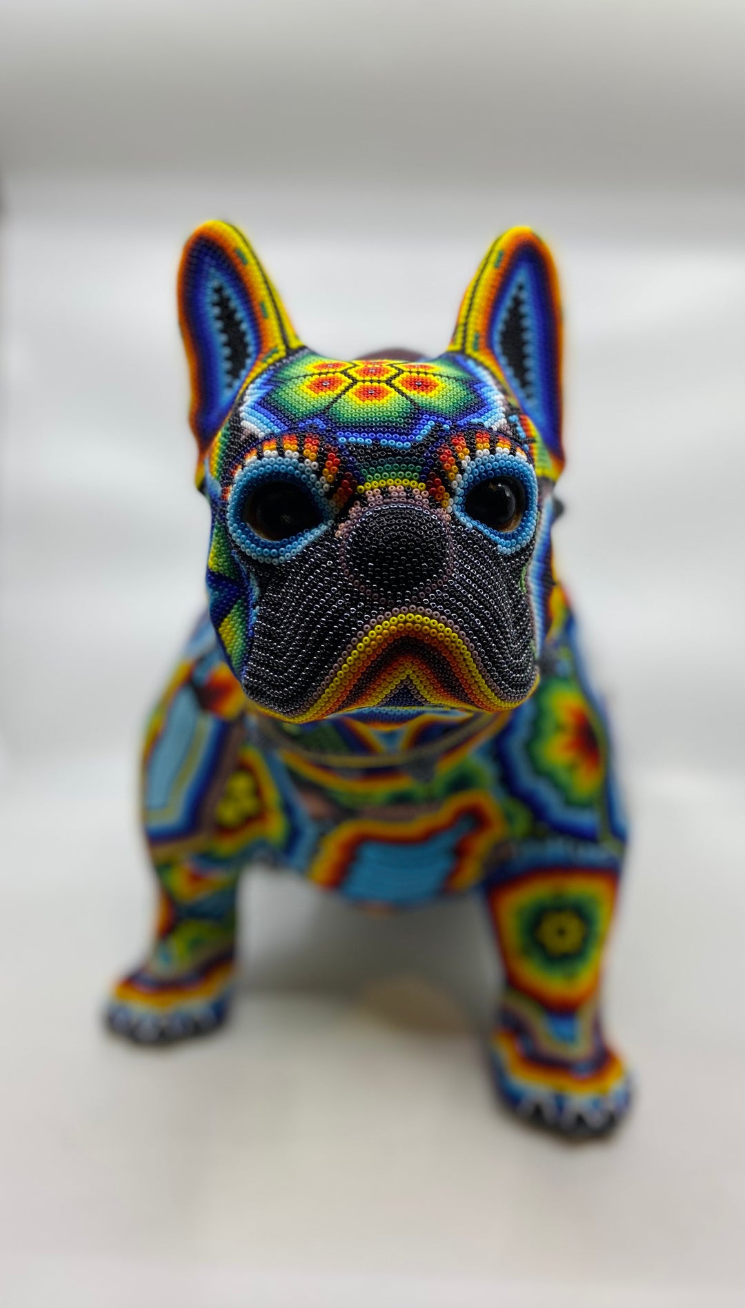 multi-color-bulldog-sit-