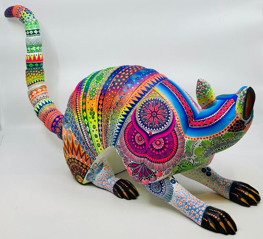 striking-playful-armadillo-
