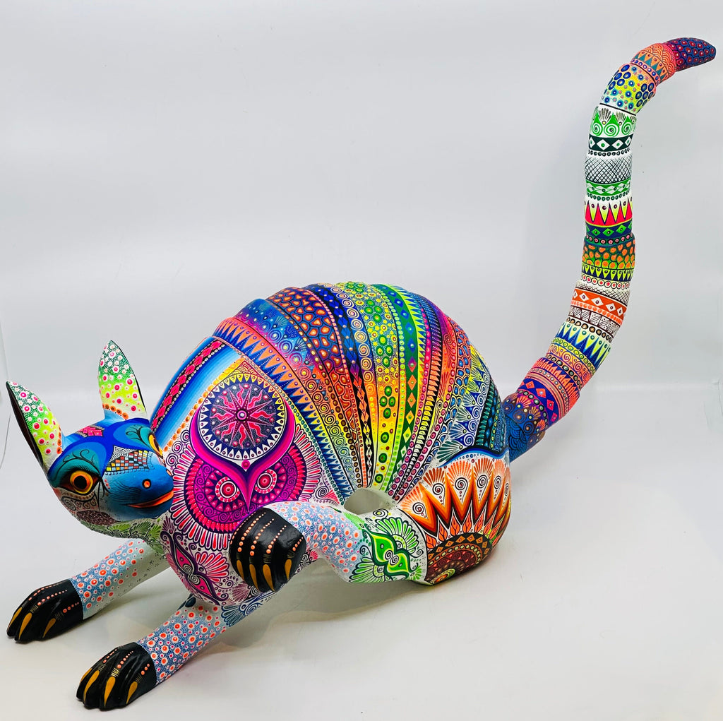 striking-playful-armadillo-