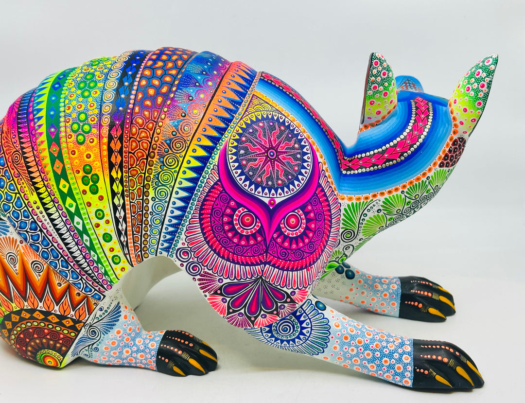 striking-playful-armadillo-