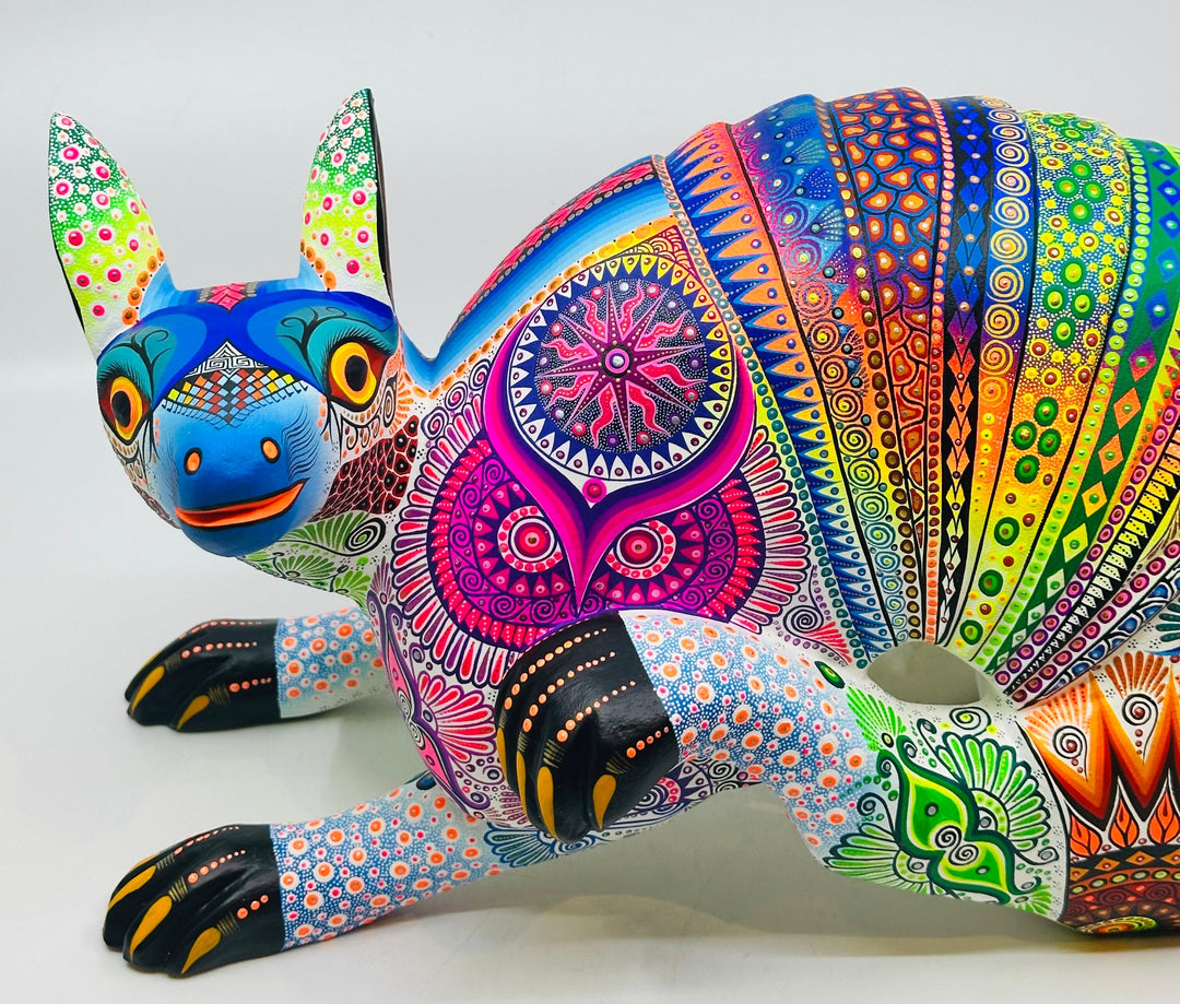 striking-playful-armadillo-