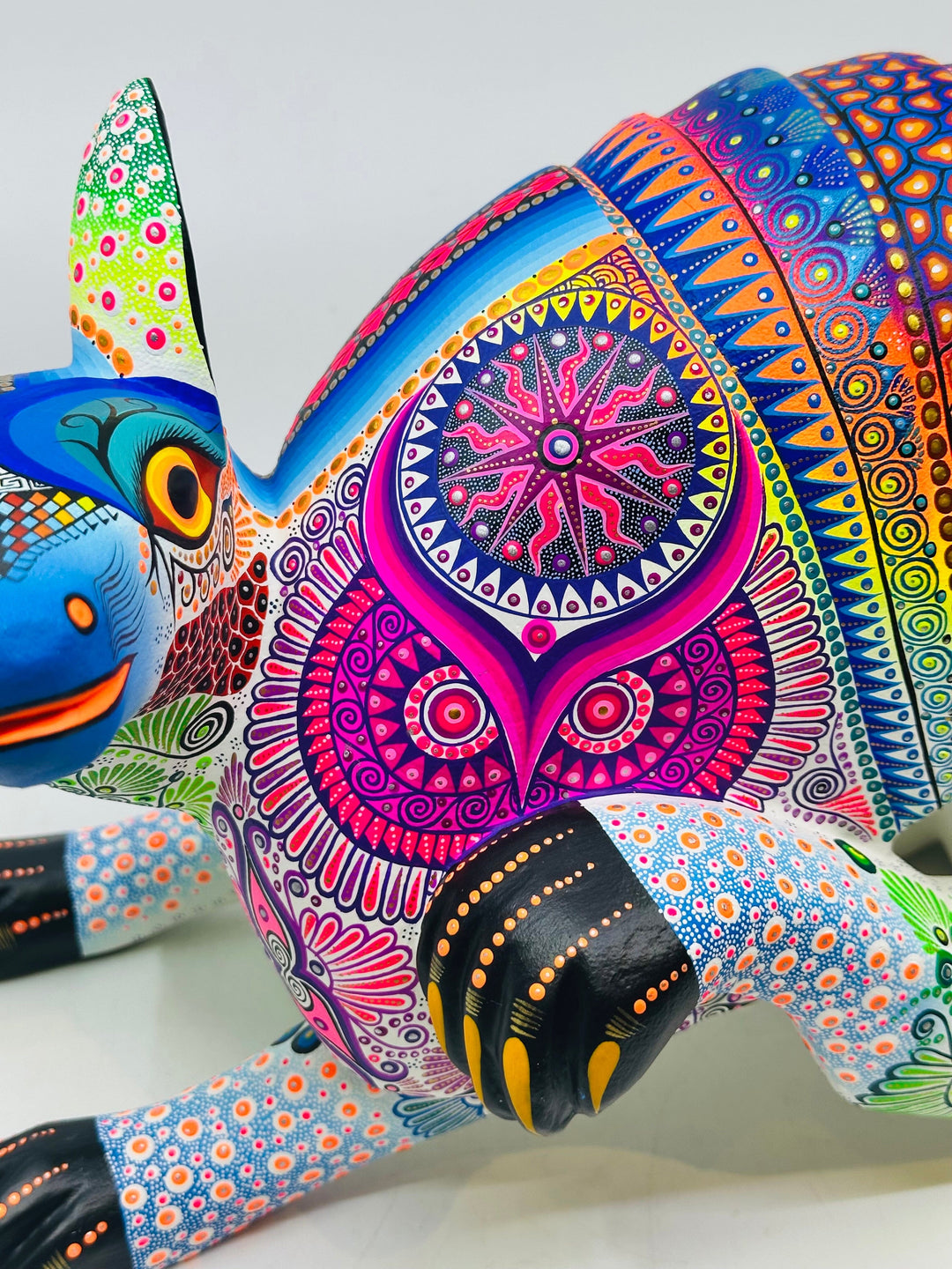 striking-playful-armadillo-