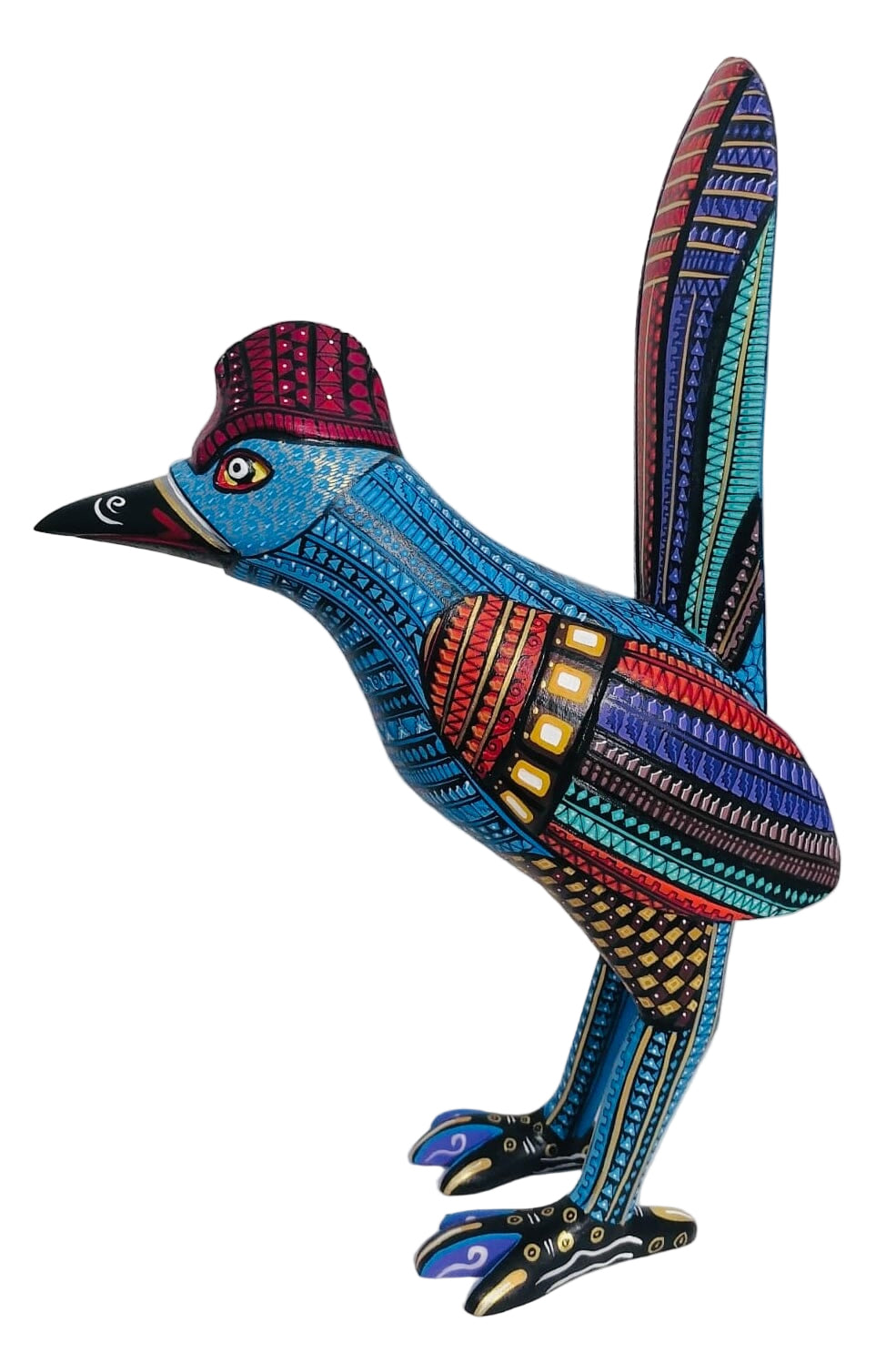 striking-roadrunner-milagros-