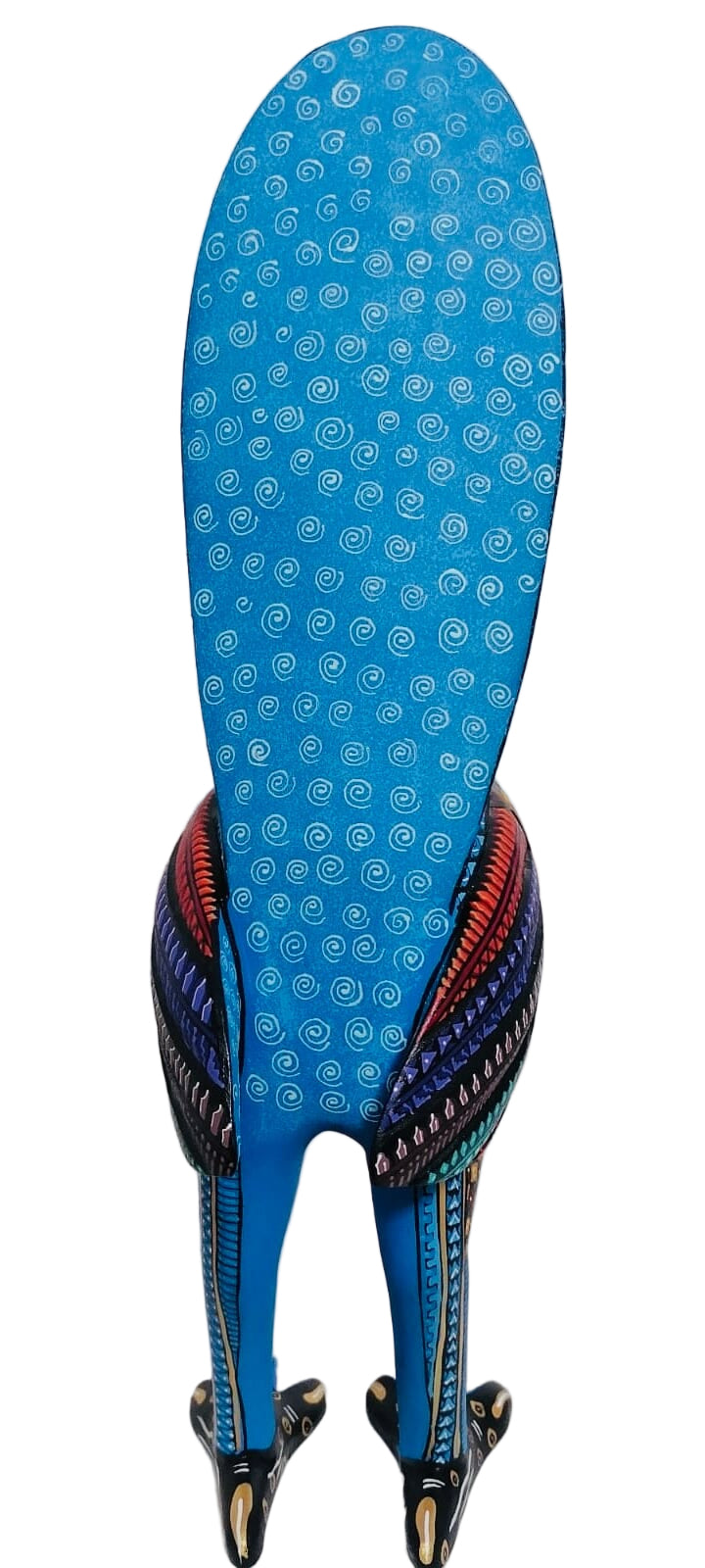 striking-roadrunner-milagros-