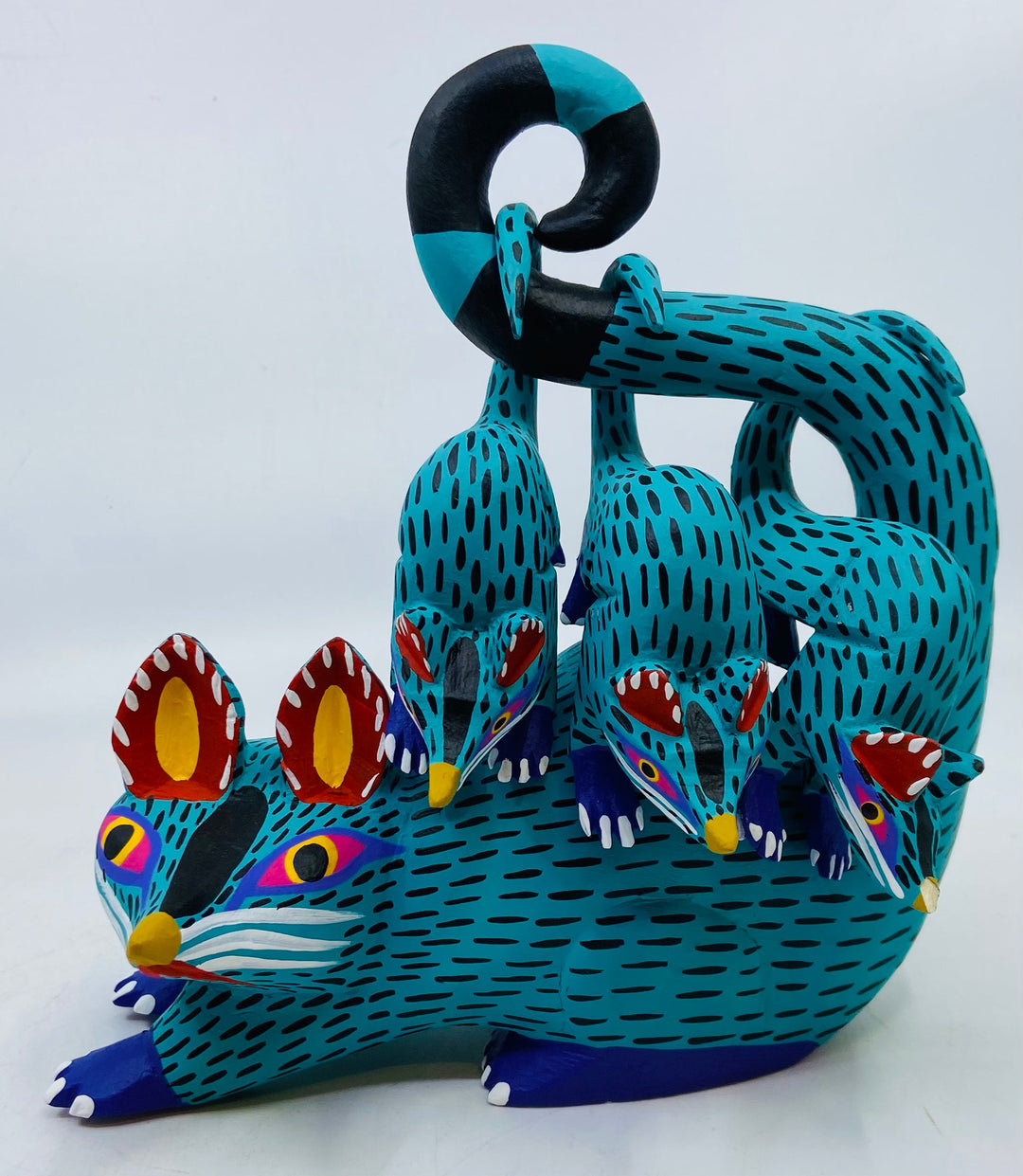 turquoise-opossum-with-3-