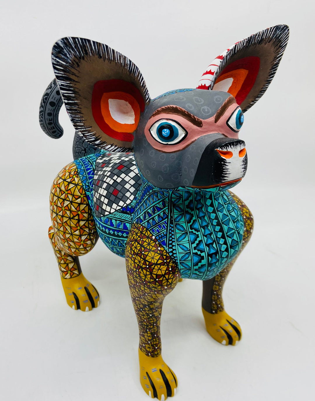 cheerful-chihuahua-milagros-