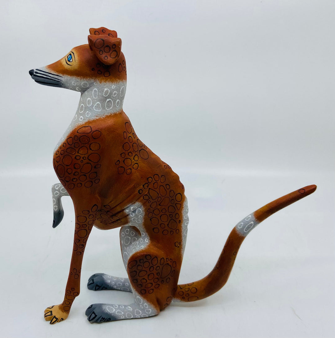 regal-dog-milagros-seattle-
