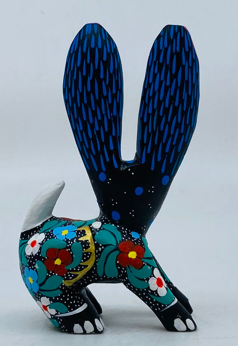 sweet-jackrabbit-milagros-